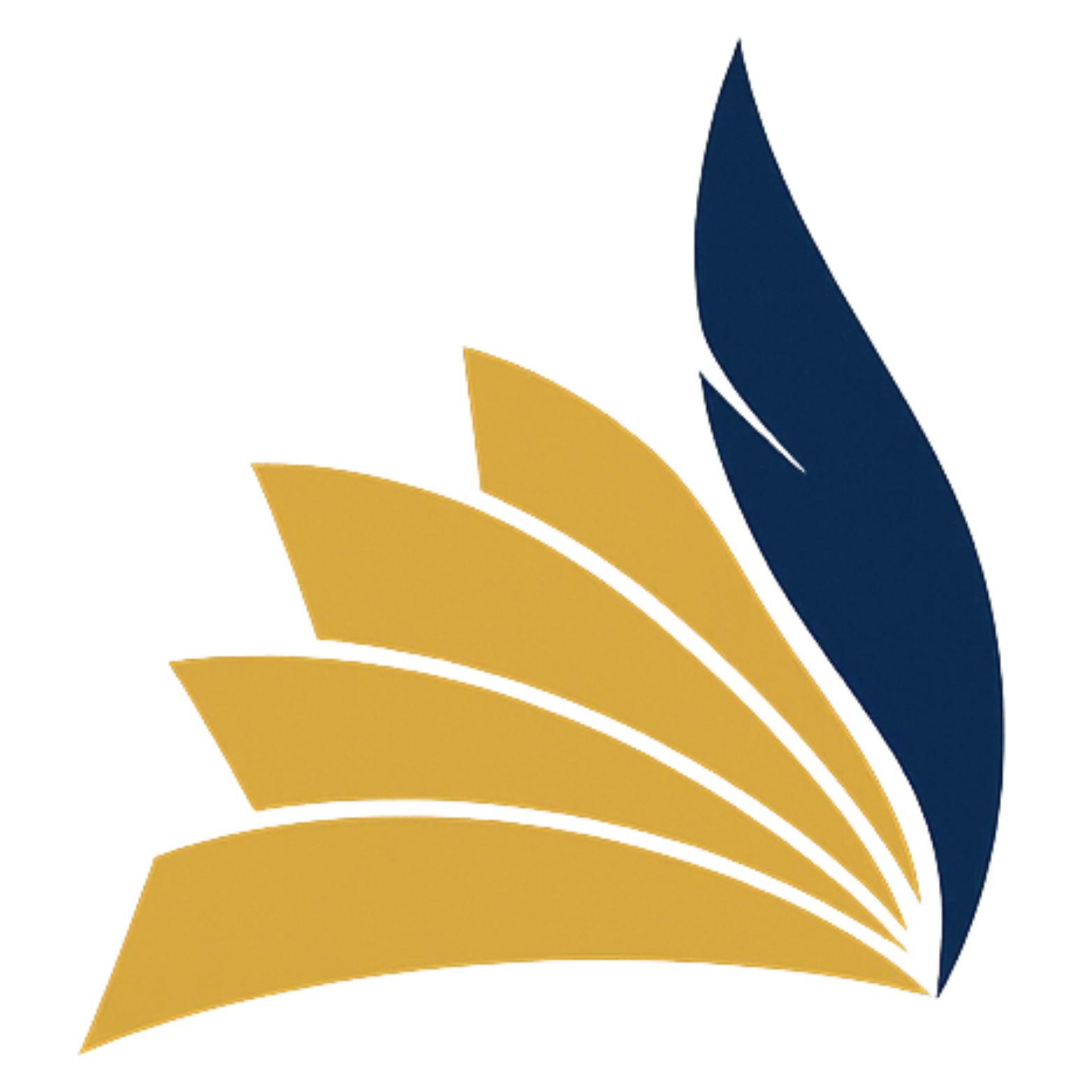 Logo CONEDE
